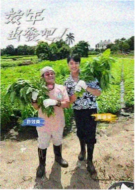 凌晨四点的留言 节目视觉